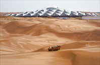 Desert Lotus Hotel, Монголия 1-Отель "Пустынный лотус"